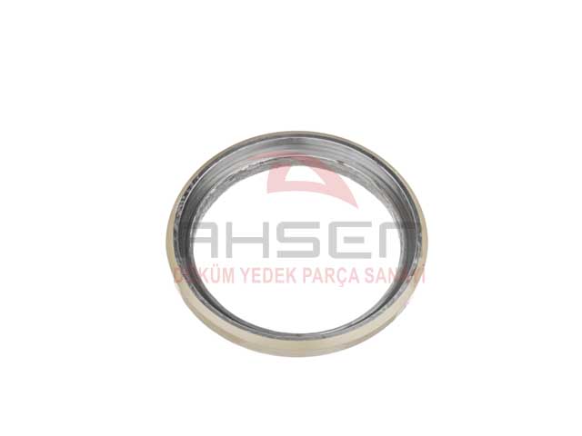 WEAR RING ELEPHANT-086219006-22042004-AHS 2103