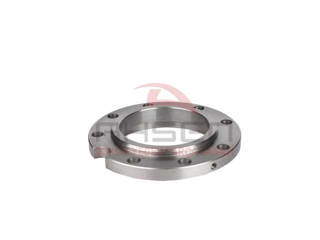 COVER-1221067-AHS 4009